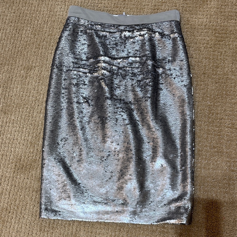 Banana Republic Silver Sequin Skirt
